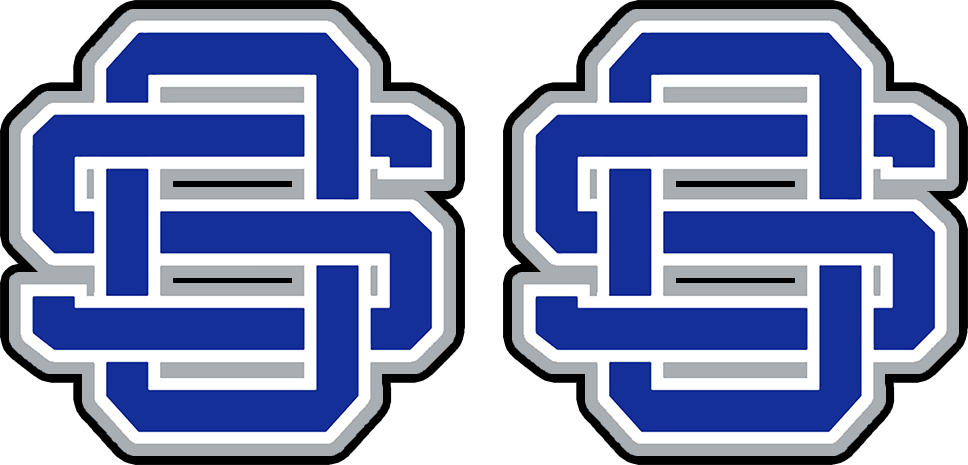 Ginny Custom Earring Sublimation Blanks