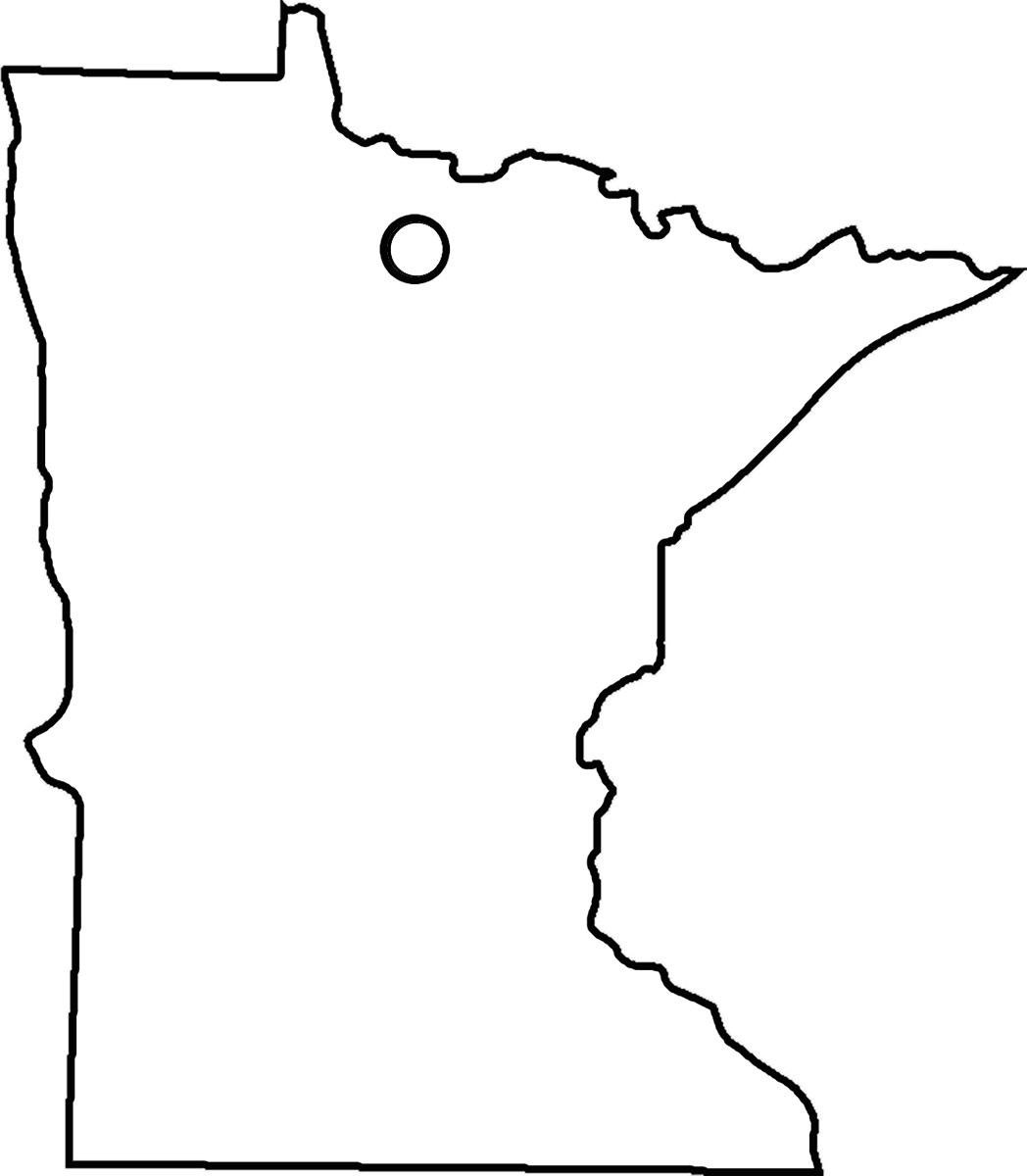 Minnesota Ornament Sublimation Blank