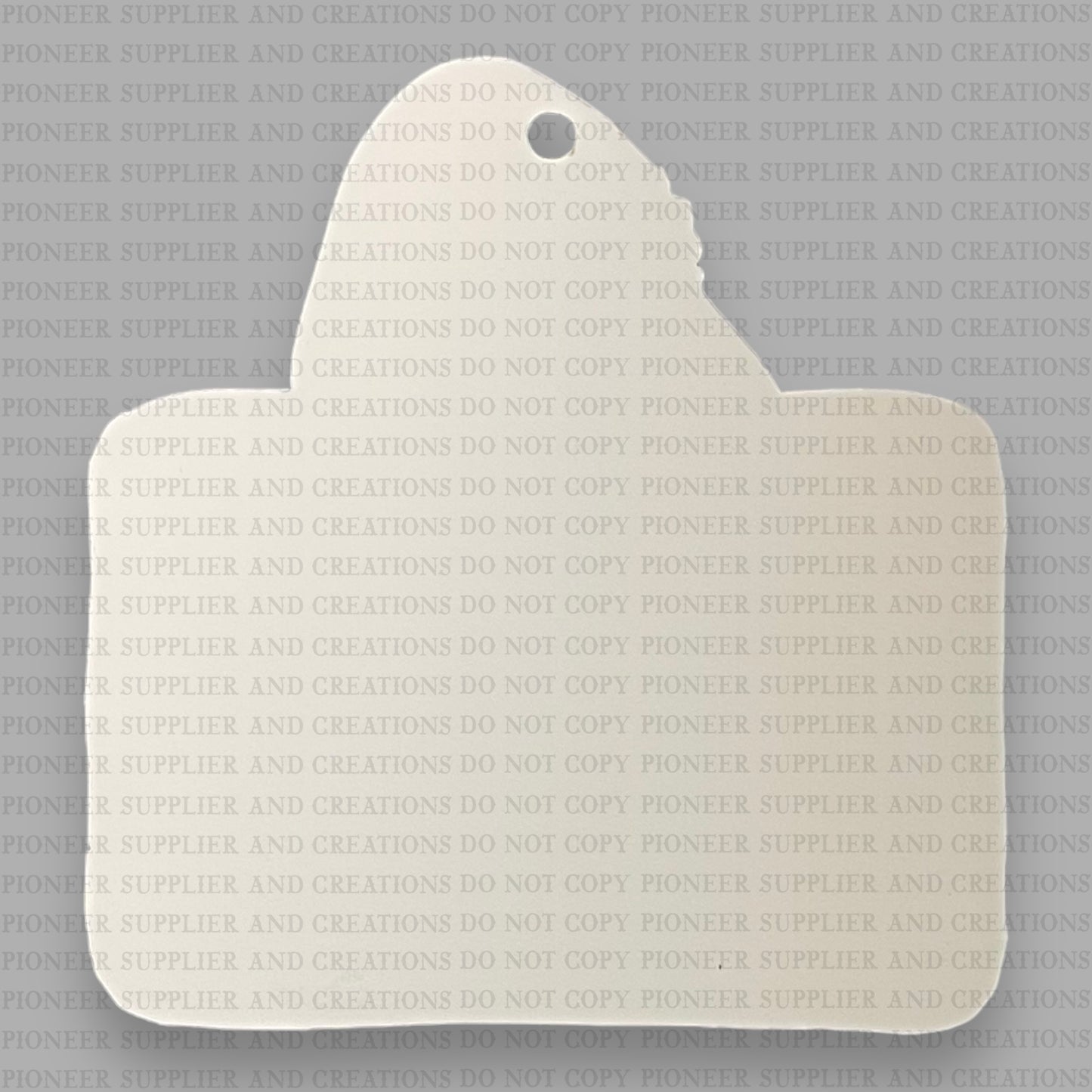 Santa Cam Ornament Sublimation Blank