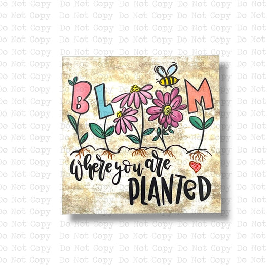 Bloom Where You are Planted Magnet Sublimation Blank Kit | AAS
