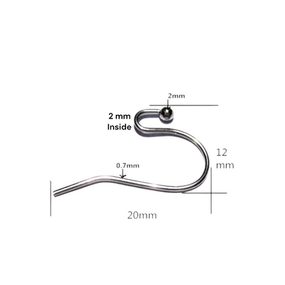 Stainless Steel Hook Earring Findings | 10 Pair